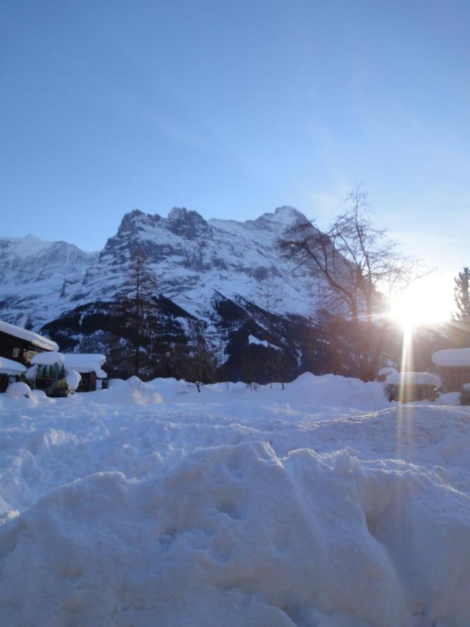 Chalet Engi Apt 1 For Up To 8 People Grindelwald Bagian luar foto
