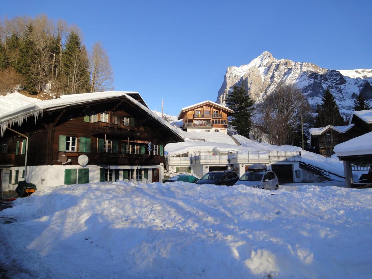 Chalet Engi Apt 1 For Up To 8 People Grindelwald Bagian luar foto