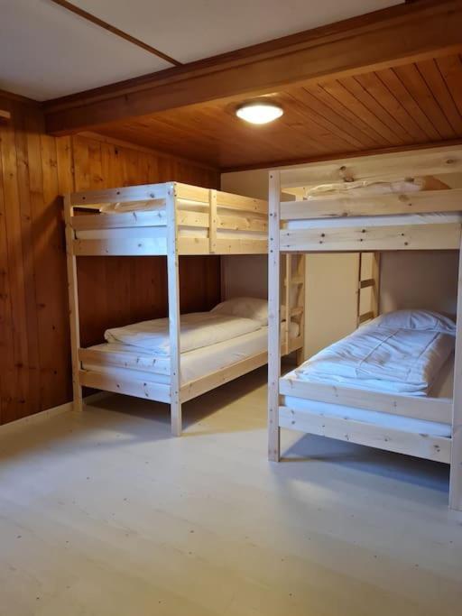 Chalet Engi Apt 1 For Up To 8 People Grindelwald Bagian luar foto