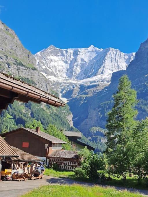 Chalet Engi Apt 1 For Up To 8 People Grindelwald Bagian luar foto