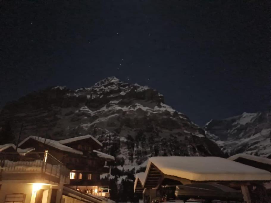 Chalet Engi Apt 1 For Up To 8 People Grindelwald Bagian luar foto