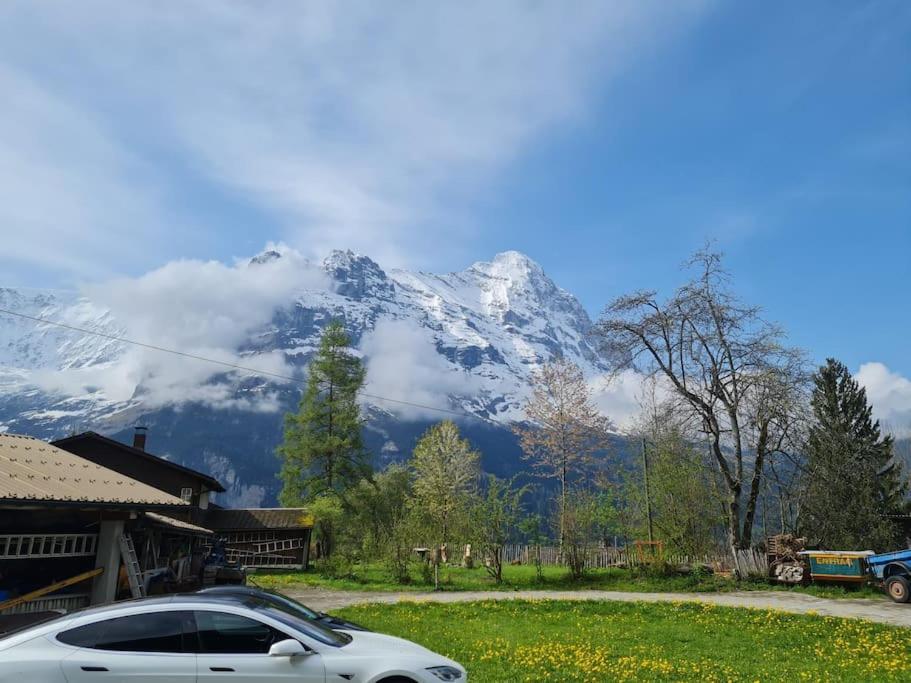 Chalet Engi Apt 1 For Up To 8 People Grindelwald Bagian luar foto