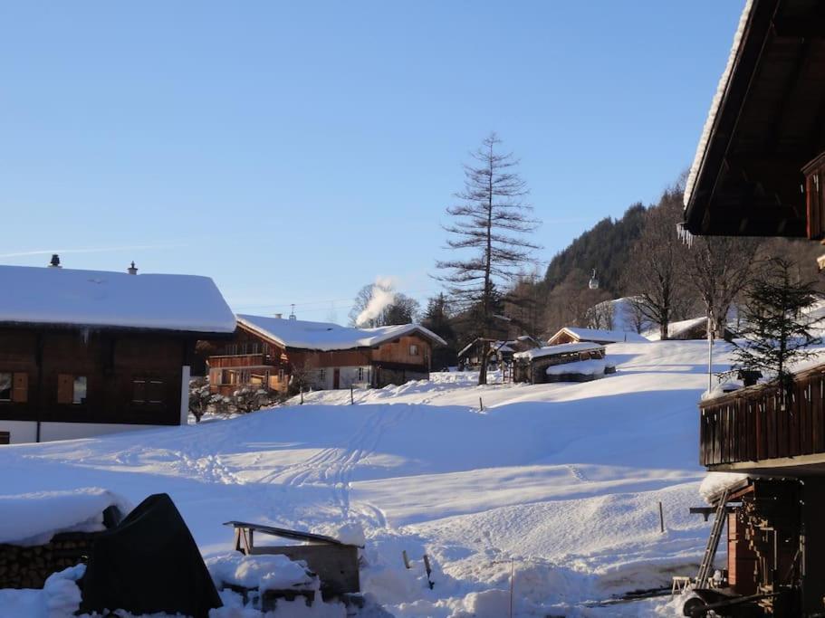Chalet Engi Apt 1 For Up To 8 People Grindelwald Bagian luar foto