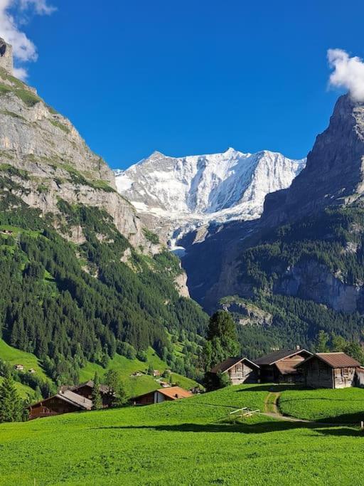 Chalet Engi Apt 1 For Up To 8 People Grindelwald Bagian luar foto